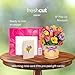 Freshcut Paper Pop Up Cards, Mini Festive Tulips, 6 Inch Mini Sized Forever Flower Bouquet 3D Popup Greeting Cards, Birthday Cards, Thank You Card, Blank Notecard & Envelope