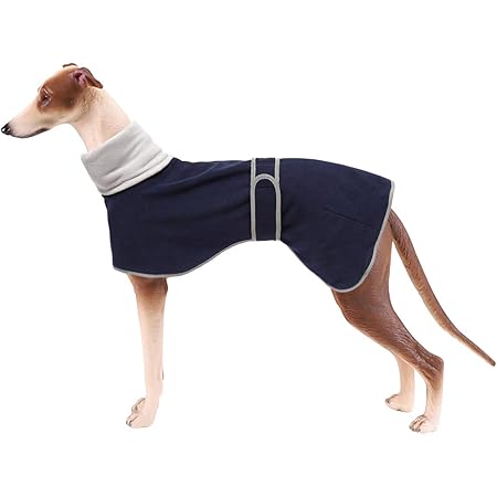 designer whippet coats