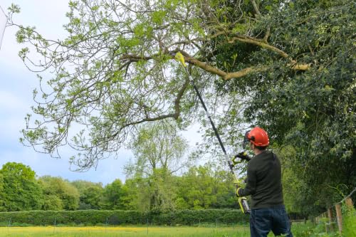 RYOBI Élagueuse sur Perche 36V MAX POWER RY36PP25A-0 – Élagage Arbres, Coupe Branches en Hauteur Jusqu'à 4 m, Guide 25 cm, Perche Télescopique, Sans Batterie ni Chargeur – vue 2