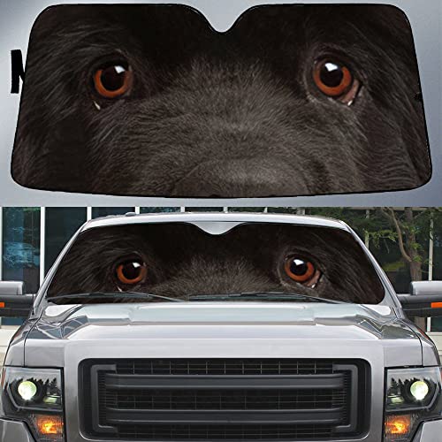 Pare soleil voiture pour protéger le tableau de bord des camions et véhicules vus