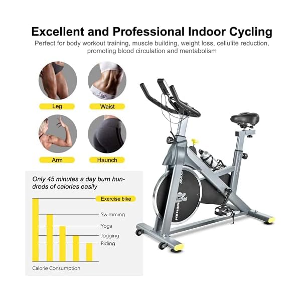 Wonder Maxi Indoor Cycling Bike, Stationary Exercise Bike Belt Drive Workout Bike with 330 Lbs Weight Capacity 45Lbs Flywheel, Ipad Holder and LCD Monitor for Home Cardio Training, Upgraded Version