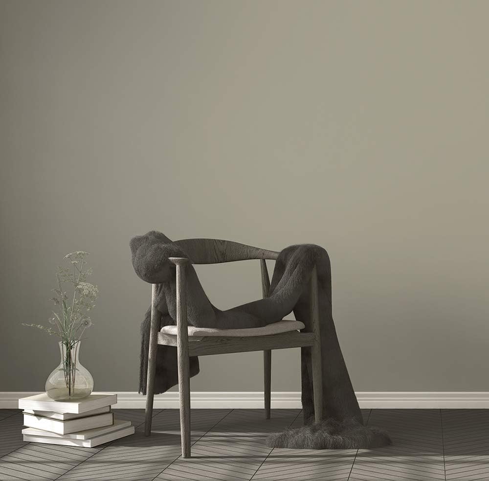 Boomerang Eco-Friendly Interior Paint, Eggshell Finish (Greige)