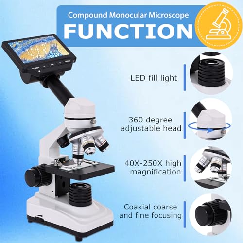 Image of Microscope for Kids & Adults, 40X-2500X High-Power Compound Microscope for Students (Gray White)