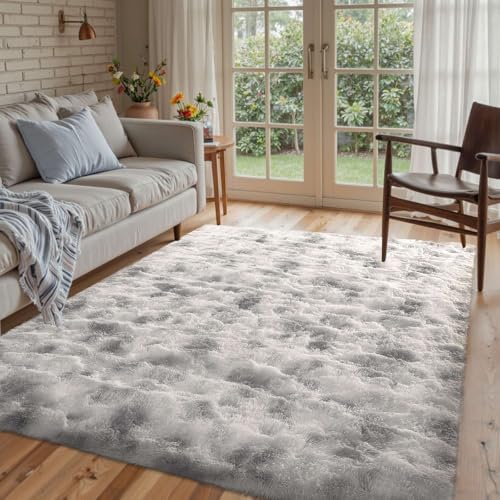 Grey White Rug for Living Room Fluffy 4x6 ft Bedroom Rug Non-Slip Fuzzy Area Rugs Shag Carpet for Nursery Kids Play Room Dorm Office Indoor Soft Modern Plush Carpets Gray
