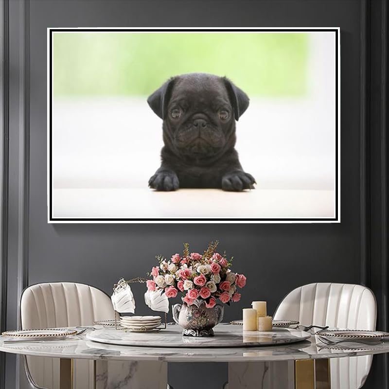 Mops Diamant Malerei Set Für Erwachsene – 5D DIY Mit Runden Steinen, 50x70 Cm Leinwand, Inkl. Werkzeug