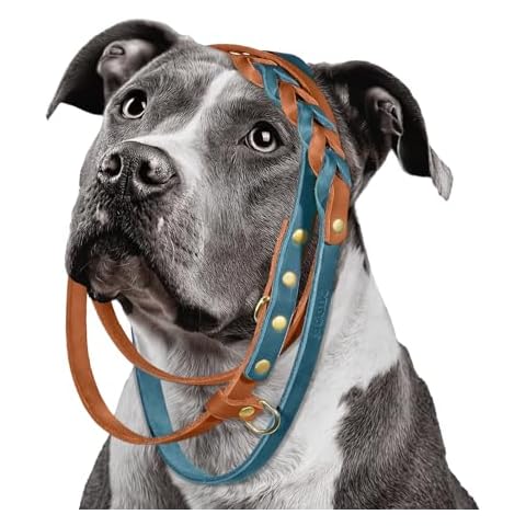 Midog Leather Dog Leash, Waist Leash for Dog Walking, 6ft Heavy Duty - Strong Genuine Leather, Braided, Soft and Comfortable for Training Large, Medium, and Small Dogs (Blue, L: 6.5ft x 0.6inch) Cover