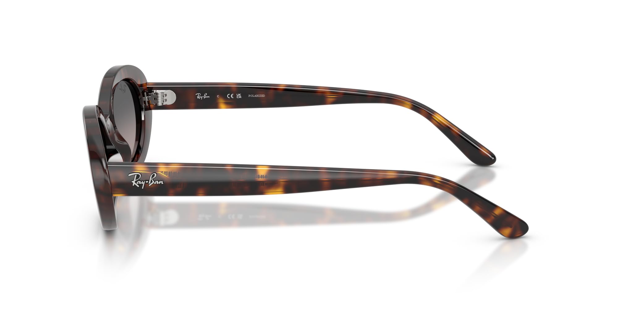 Ray-Ban EVOLUTION - Occhiali da sole da donna