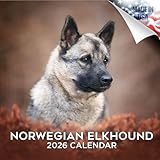 Norwegischer Elchhund Kalender 2022 2023,Hunderasse Monatlicher Wandkalender,12x24 offen,Dickes kein Auslaufen Papier,Geschenkbar,Akademischer Lehrerplaner Kalender Organisieren & Planung,Made in USA
