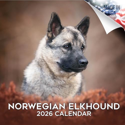 Norwegian Elkhound Calendar 2026 by MegaCalendars – Monthly Dog Breed Wall Calendar, Made in USA