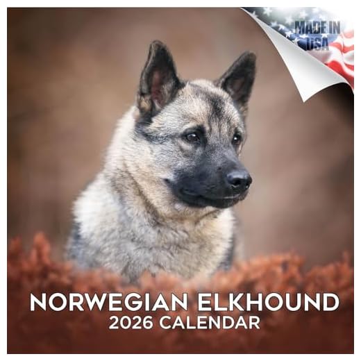 Norwegian Elkhound Calendar 2026 by MegaCalendars – Monthly Dog Breed Wall Calendar, Made in USA