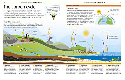 How to Be Good at Science, Technology, and Engineering (DK How to Be Good at) - Image 15