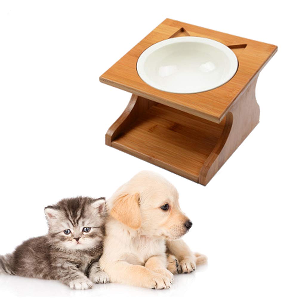 What Are Dogs Lacking When They Eat Wood