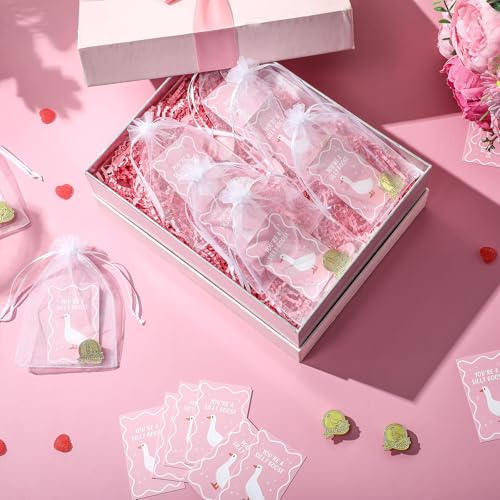 30 Set Funny Silly Goose Pins Employee Appreciation Gift Silly Goose Badge Pins with You're a Silly Goose Card and Bag Thank You Cute Funny Gift for Team Volunteer Student Teacher Nurse4