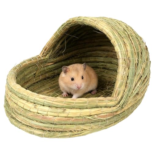 ETM xbh | ҂݂̐pꏊ - ̉,{⏬̃P[WA{ɁA_ł̔ɐBYp