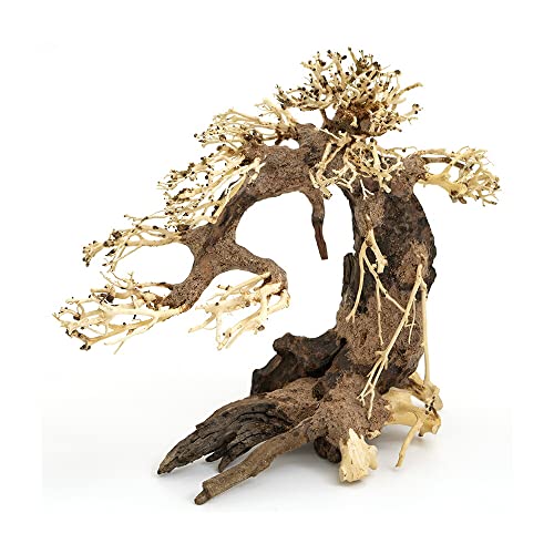 カミハタ 水景BONSAI 五葉松 L 流木 活着 レイアウト 水草 アクアリウム 水槽