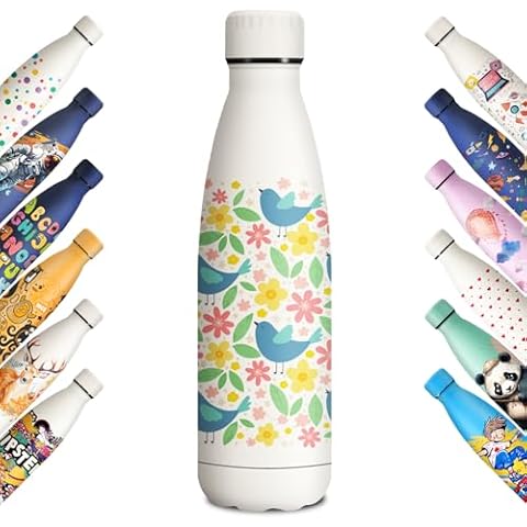 Gourde Isotherme KollyKolla 500ml Cover
