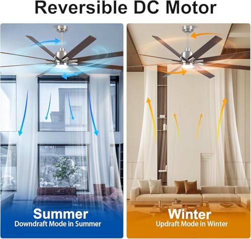 Image of Rayqueen 72 Inch Brushed Nickel Ceiling Fans with Lights and Remote,Downrod