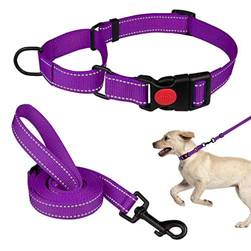 Martingale Dog Collar And Leash Set Martingale Collars For Dogs Reflective Martingale Collar For Small Medium Large Dogs(Purple&S) #TOP11