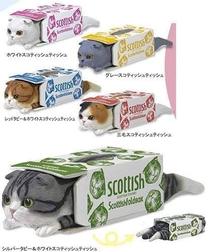Amazon.co.jp: スコティッシュティッシュ scottish tissues 全5種