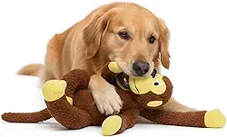 Brinquedo Macaco Pet Pelúcia Resistente Para Cachorro Com Apito Embutido Divertida