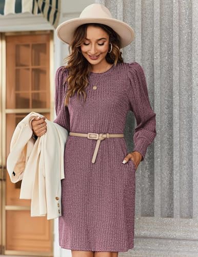 Image of Zeagoo Women Fall Winter Dress Knitted Pullover Dresses