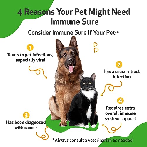 Pet Wellbeing Immune Sure for Dogs & Cats, Supports Normal Immune Defenses, Gut Flora Balance, Andrographis, Echinacea - Image 2