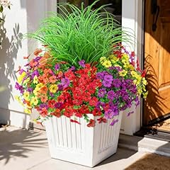 Light Purple Orange Yellow Red