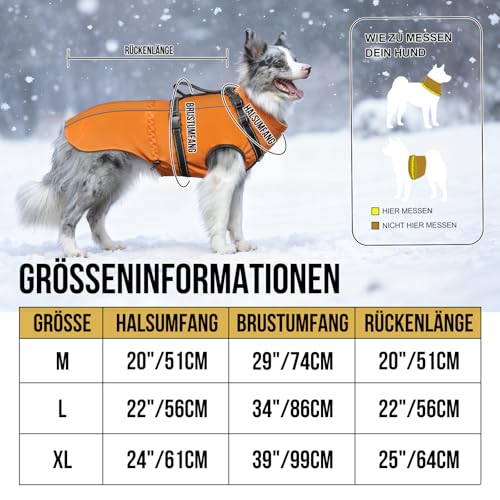 OneTigris Hundejacke, Wasserdichter Winterweste Jacken Hundemantel Mit Bediengriff, Bequeme Ausscheidung, Reißverschluss und Elastisches Design, Einfaches An-und Ausziehen, Reflektierend,M,Orange