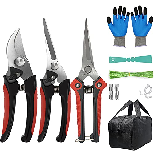 Aimerla Premium Pruning Shears. Stainless Steel Garden Shears for Plants, shrubs, Bushes. Durable Garden Scissors Set with Garden Gloves, Storage Bag, Garden Accessories for Women, Men