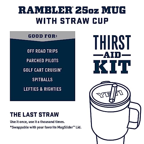 Image of YETI Rambler 25 oz Tumbler with Handle and Straw Lid, Travel Mug Water Tumbler, Vacuum Insulated Cup with Handle, Stainless Steel, Cosmic Lilac