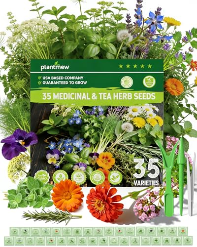 Medicinal & Tea Herb Seeds for Planting - 35 Non-GMO Variety Pack for Indoor/Outdoor Garden: Anise Bergamot Borage Fennel Chamomile Dandelion Oregano Hyssop Catnip Seeds & More