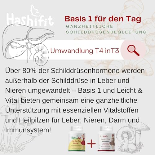 Hashifit Basis 1, Schilddrüse Komplex mit Selen, L-Tyrosin Yamswurzel Kurkuma und mehr, Wechseljahre Kapseln, Hashimoto Kapseln – Energie und Wohlbefinden, hochdosiert vegan, ohne Jod, Monatspackung