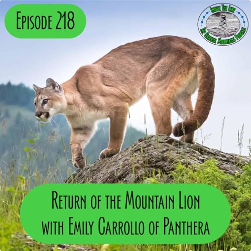 Episode 218 &ndash; Return of the Mountain Lions? With Emily Carrollo of Panthera