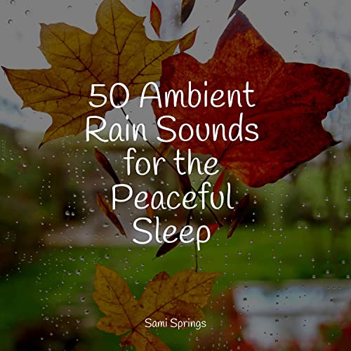 50 Ambient Rain Sounds for the Peaceful Sleep : Binaural Beats Brain ...