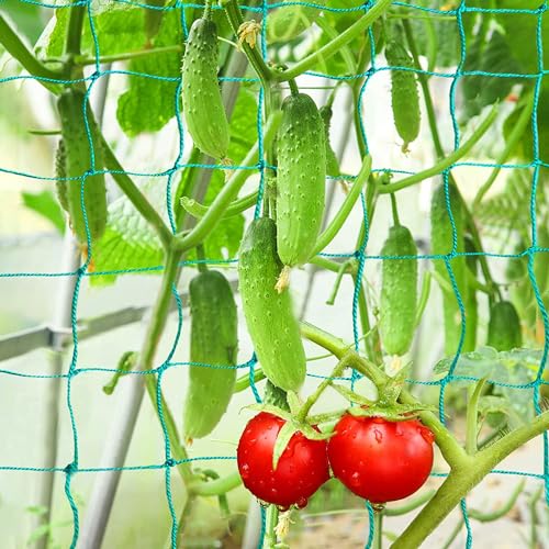 Image of Plastic Climber Plant Supporting net, 10 Feet x 10 Feet (Pack of 1),Green