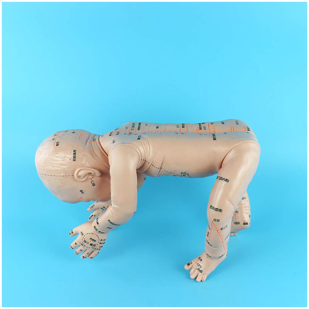Modèle Acupuncture Pédiatrique - Poupée D'entraînement Pour Points D'acupression - NEUF