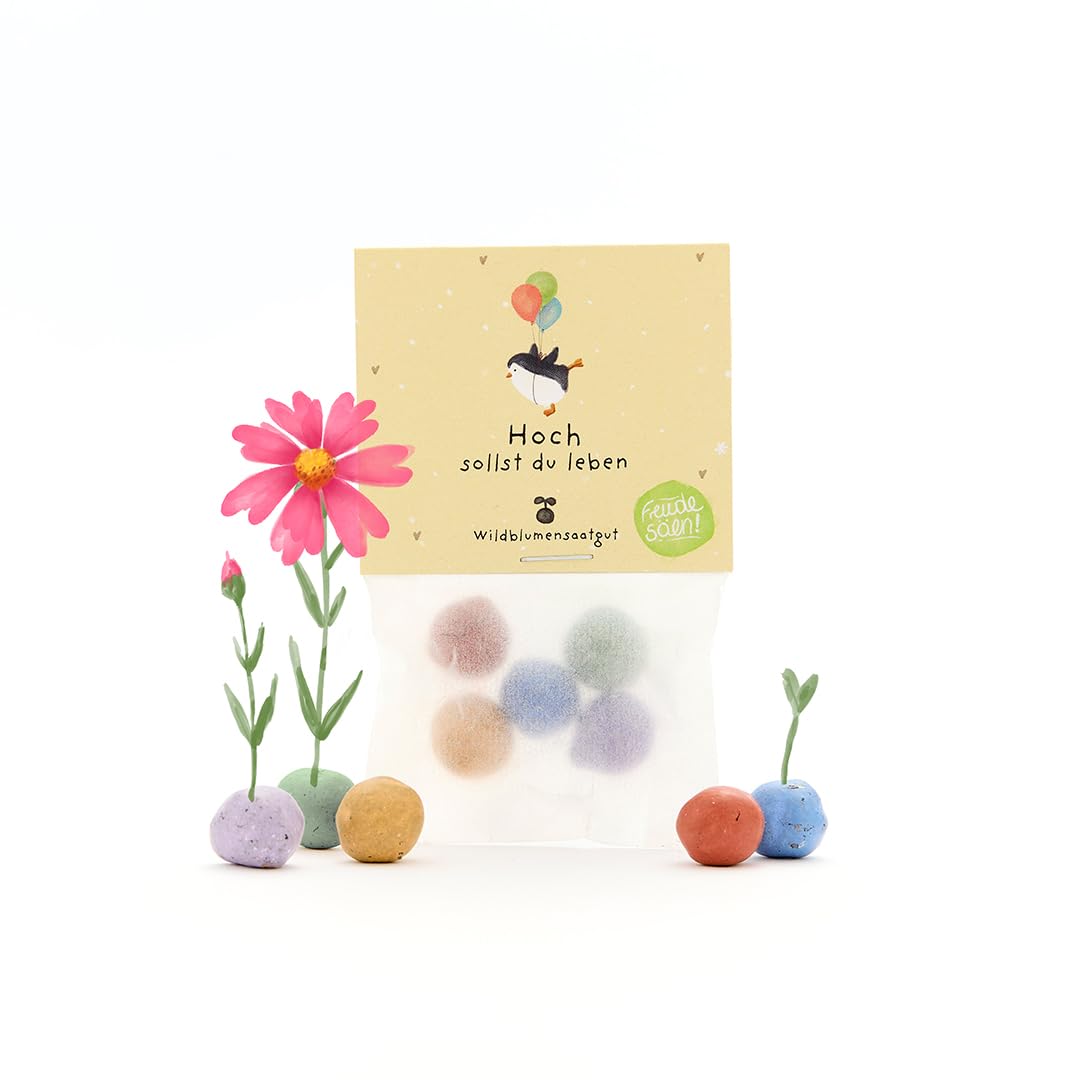 Regalino sostenibile per il compleanno: 5 biglie di fiori colorate | Pallottole di semi dai colori vivaci con semi di fiori selvatici | Idea regalo e fantastica sorpresa per il compleanno | 100%