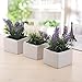 MyGift Set of 3 Artificial Purple and White Plants in White Textured Ceramic Pots/Faux Flower Tabletop Home Decor