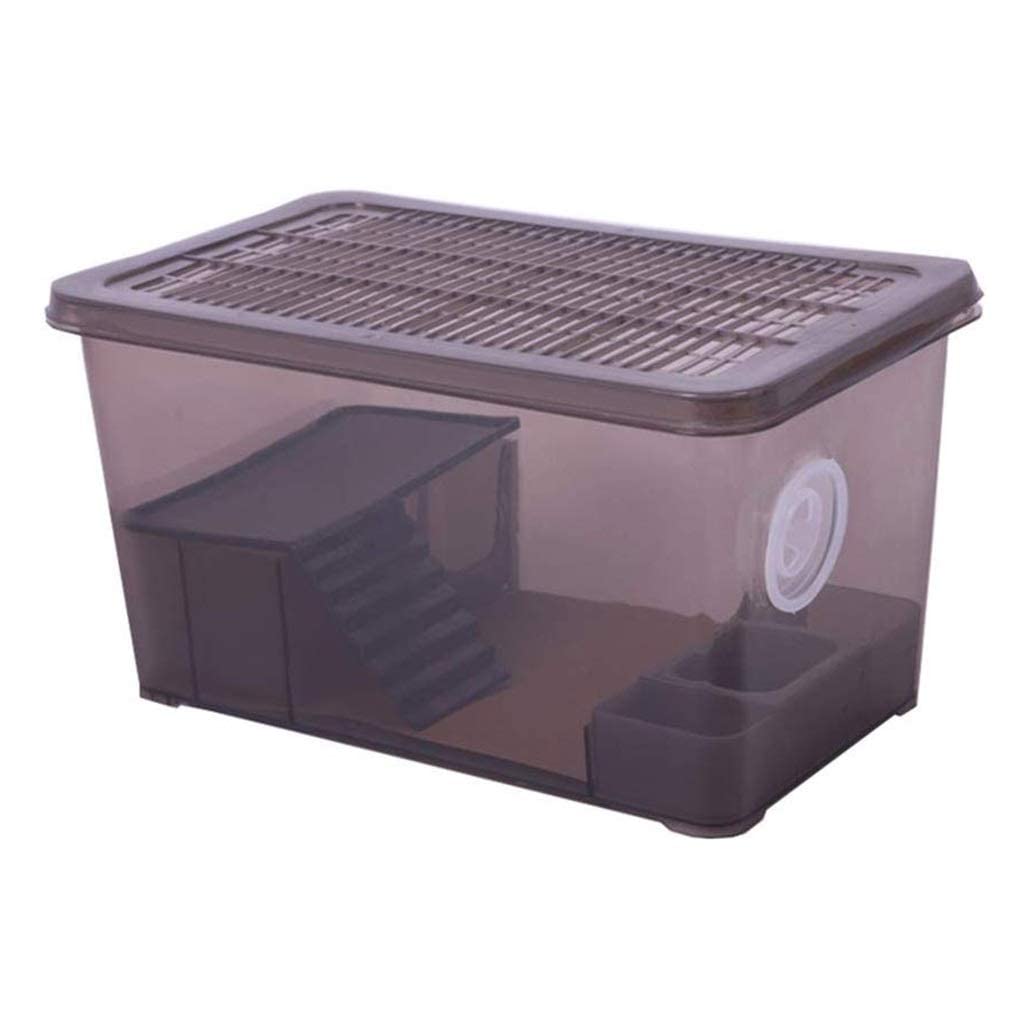 Terrario para Reptiles Incubadora de Calefacción Transparente para Mascotas Hábitat Anfibio Lagarto Camaleón Terrario de Serpiente Araña Fácil de Mover (Negro 29,5 * 14,7 * 15,2 cm)