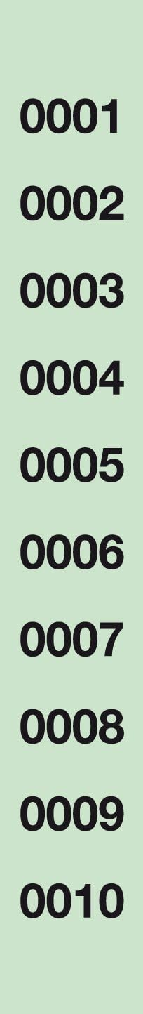 APLI 12939 Rifa Strip Luministas, 1,000 Numbers