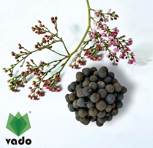 Image of Vado Nepali Rudraksha Fruit (Pack of 2 Beads) रुद्राक्ष फल with Natural Untreated Raw Shell for Mala & Bracelet (2)