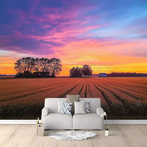 Papier peint photo 3D paysage de 400x280 cm intissé marron