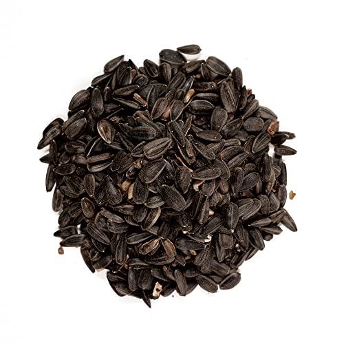 Shafer Seed 51041 40-Pound Bag, Black Oil Sunflower Wild Bird Food #TOP2