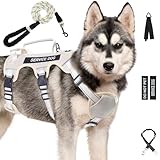 Escape Proof Dog Harness for Large Medium Sized Dogs Six Point Adjustable, Service Dog Vest Harness and Leash Set, No Pull Dogs Harnesses with Handle, XL Dog Harnesses for Walking(Beige, L)
