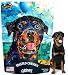 Gibson's Toasted Chicken - Human Grade USA Soft Jerky Dog Treats, 3 oz