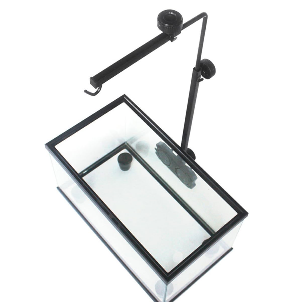 Happyyami Per Lampade per Rettili per Acquari per Lampade per Tartarughe per Allestimenti Terrari e Decorazioni per Acquari