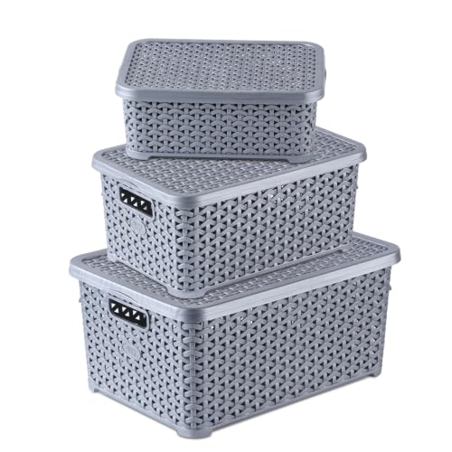 Image of Jaypee Plus Keep all 3 Plastic Storage Basket Organizers With Lid For Kitchen,Fridge, Office Wardrobe, Stationery, Household, Toys & Multipurpose use Pack of 3 Durable Box, Silver
