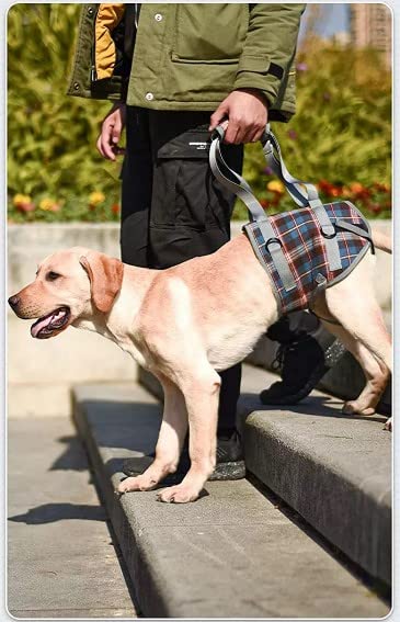 Entry and carrying aid for dogs especially for hip problems for injured elderly or restricted dogs (M), Orange - Image 4