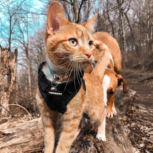 rabbitgoo Cat Harness and Leash for Walking, Escape Proof Soft Adjustable Vest Harnesses for Small Medium Cats, Easy Control Breathable Reflective Strips Jacket, XXS, Black — view 8