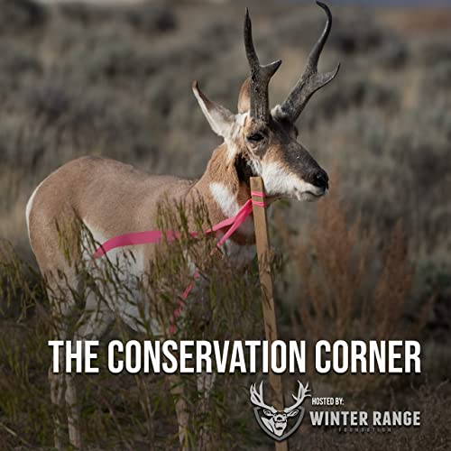 Couverture de THE CONSERVATION CORNER